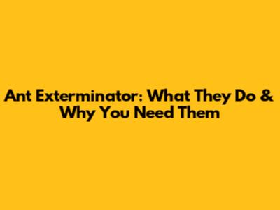 Ant Exterminator: What They Do & Why You Need Them