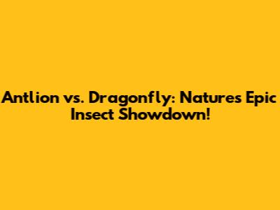 Antlion vs. Dragonfly: Nature's Epic Insect Showdown!