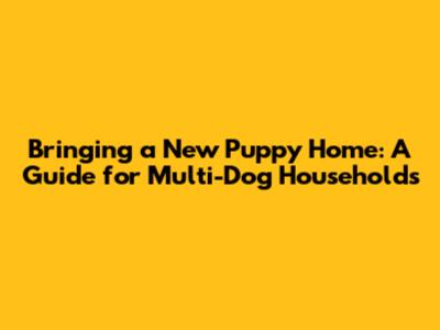 Bringing a New Puppy Home: A Guide for Multi-Dog Households