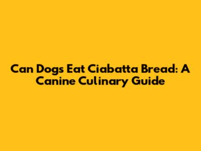 Can Dogs Eat Ciabatta Bread: A Canine Culinary Guide