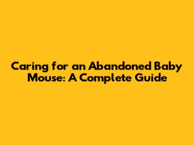 Caring for an Abandoned Baby Mouse: A Complete Guide