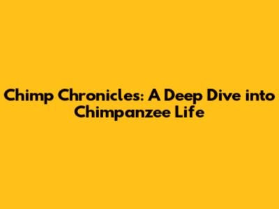 Chimp Chronicles: A Deep Dive into Chimpanzee Life