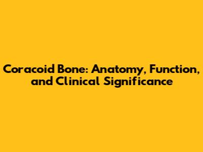 Coracoid Bone: Anatomy, Function, and Clinical Significance