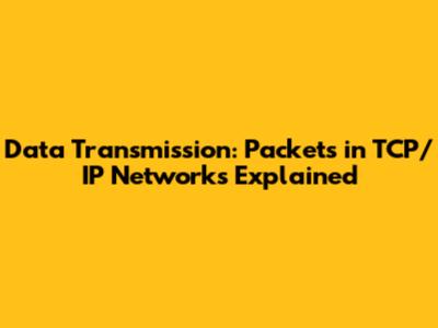 Data Transmission: Packets in TCP/IP Networks Explained