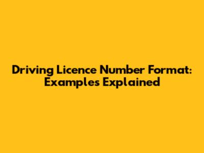Driving Licence Number Format: Examples Explained