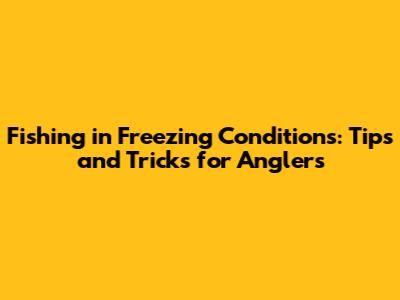 Fishing in Freezing Conditions: Tips and Tricks for Anglers