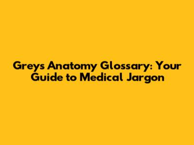 Grey's Anatomy Glossary: Your Guide to Medical Jargon