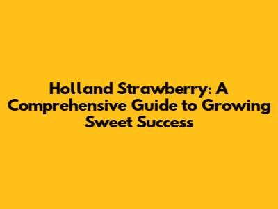 Holland Strawberry: A Comprehensive Guide to Growing Sweet Success