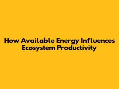 How Available Energy Influences Ecosystem Productivity