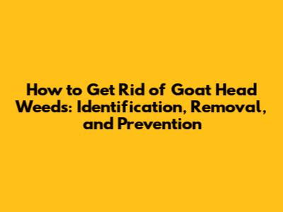 How to Get Rid of Goat Head Weeds: Identification, Removal, and Prevention