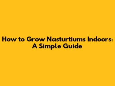 How to Grow Nasturtiums Indoors: A Simple Guide