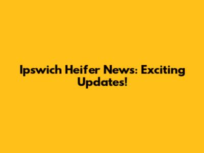 Ipswich Heifer News: Exciting Updates!