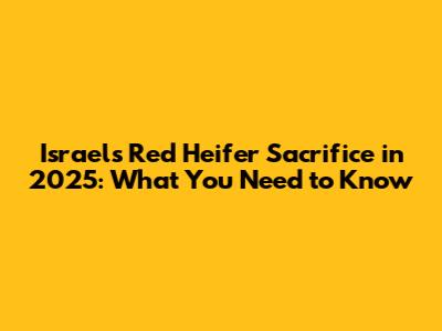 Israel's Red Heifer Sacrifice in 2025: What You Need to Know