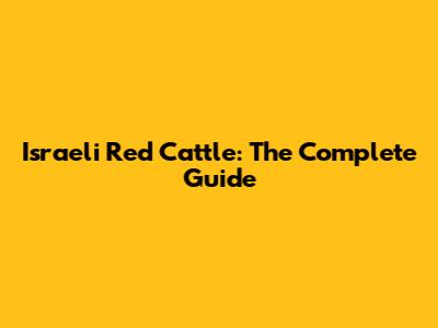 Israeli Red Cattle: The Complete Guide