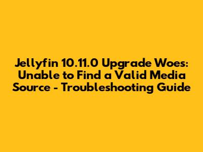 Jellyfin 10.11.0 Upgrade Woes: "Unable to Find a Valid Media Source" - Troubleshooting Guide