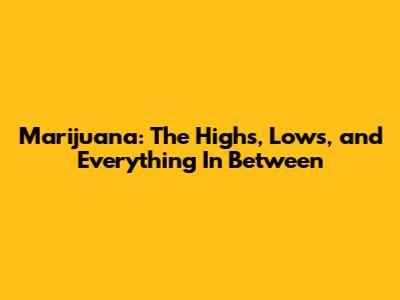 Marijuana: The Highs, Lows, and Everything In Between