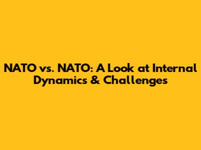 NATO vs. NATO: A Look at Internal Dynamics & Challenges