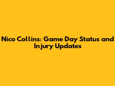 Nico Collins: Game Day Status and Injury Updates