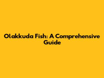 Olakkuda Fish: A Comprehensive Guide