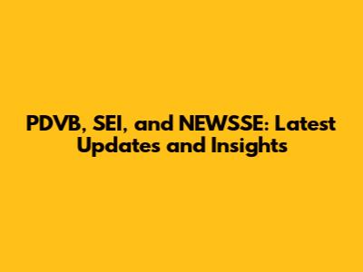 PDVB, SEI, and NEWSSE: Latest Updates and Insights