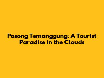 Posong Temanggung: A Tourist Paradise in the Clouds