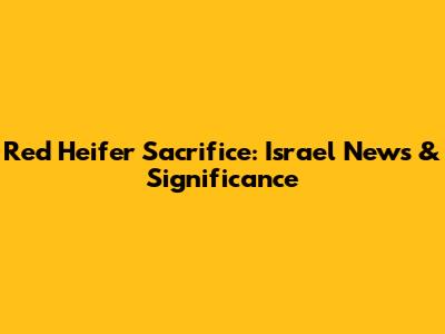 Red Heifer Sacrifice: Israel News & Significance