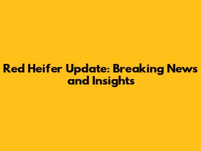 Red Heifer Update: Breaking News and Insights