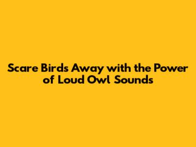 Scare Birds Away with the Power of Loud Owl Sounds