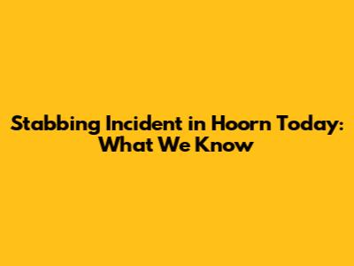 Stabbing Incident in Hoorn Today: What We Know