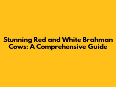 Stunning Red and White Brahman Cows: A Comprehensive Guide