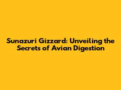 Sunazuri Gizzard: Unveiling the Secrets of Avian Digestion