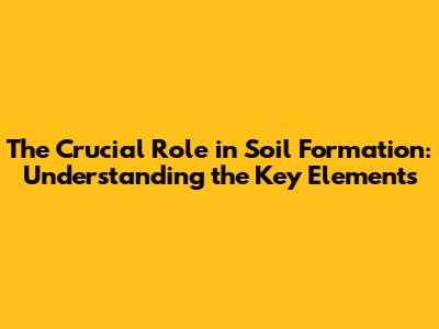The Crucial Role in Soil Formation: Understanding the Key Elements