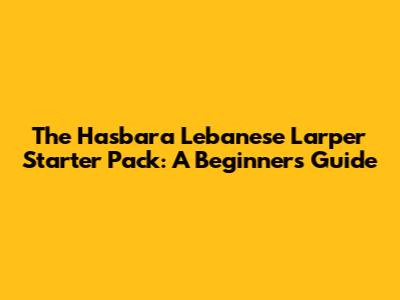 The Hasbara Lebanese Larper Starter Pack: A Beginner's Guide