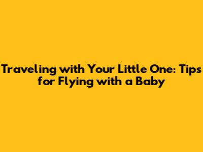 Traveling with Your Little One: Tips for Flying with a Baby