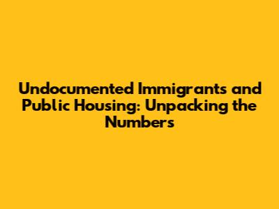 Undocumented Immigrants and Public Housing: Unpacking the Numbers