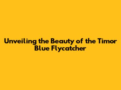 Unveiling the Beauty of the Timor Blue Flycatcher