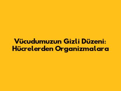 Vücudumuzun Gizli Düzeni: Hücrelerden Organizmalara