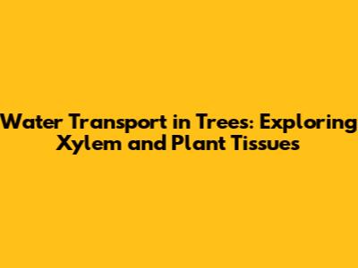 Water Transport in Trees: Exploring Xylem and Plant Tissues