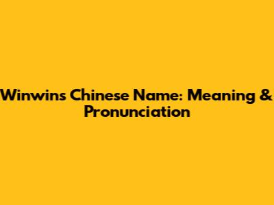 Winwin's Chinese Name: Meaning & Pronunciation
