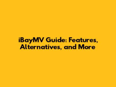 iBayMV Guide: Features, Alternatives, and More